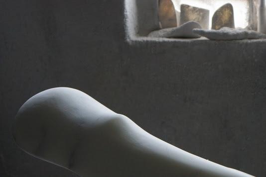 shinkai abissi mostra