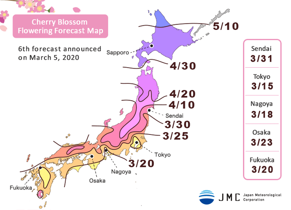 fioritura ciliegi 2020 previsioni sakura