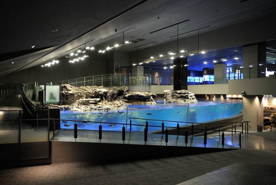 Acquario Sumida a Oshiage, Tokyo. Una buona sisita da fare per umi no hi, la festa del mare