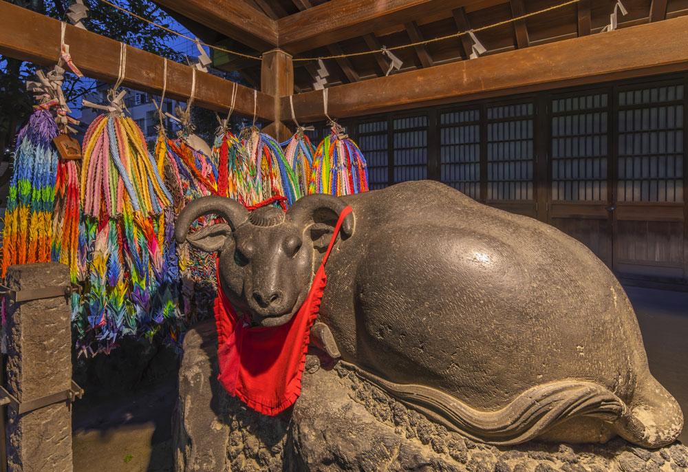 Ushijima 2021 anno del bue zodiaco giappone